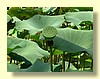 DSCN2663.JPG