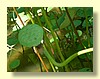 DSCN2665.JPG