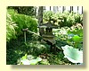 DSCN2668.JPG