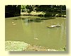 DSCN2674.JPG