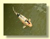 DSCN2679.JPG