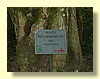 DSCN2688.JPG