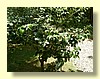 DSCN2691.JPG