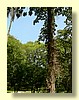 DSCN2694.JPG