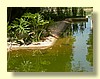 DSCN2697.JPG