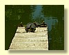 DSCN2698.JPG