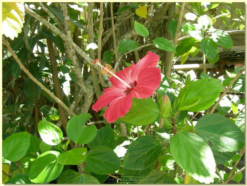 DSCN2379.JPG