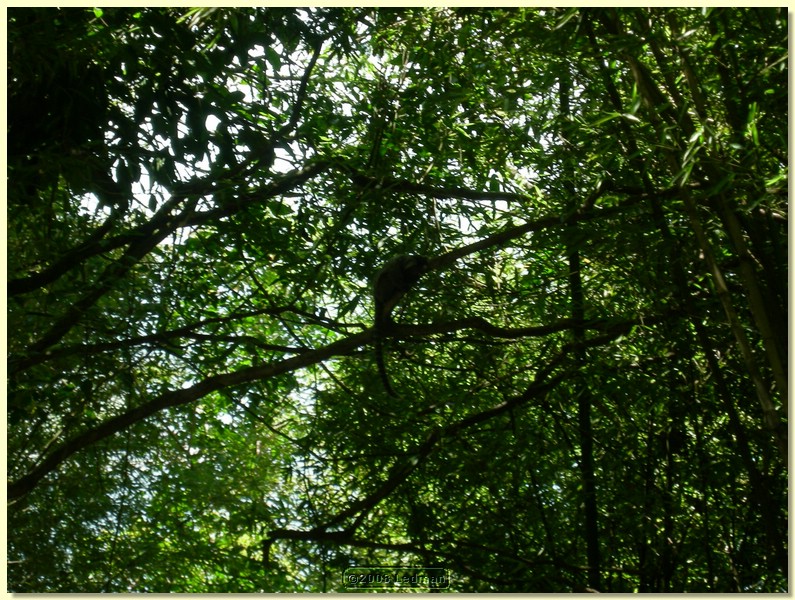 DSCN2395.JPG