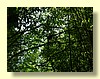 DSCN2395.JPG