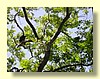 DSCN2396.JPG