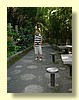 DSCN2398.JPG