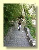 DSCN2405.JPG