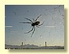 DSCN2721.JPG