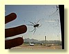 DSCN2722.JPG