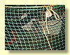 IMG_1973_jpg.jpg