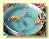 DSCN0689.JPG