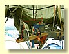 DSCN0695.JPG