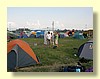 DSCN0702.JPG