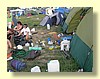 DSCN0710.JPG