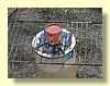 DSCN0714.JPG