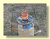 DSCN0715.JPG